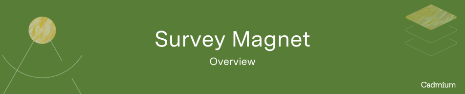 Survey Magnet Overview